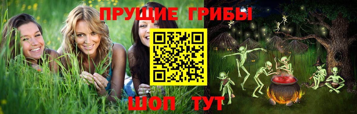 Псилоцибиновые грибы мицелий Ставрополь